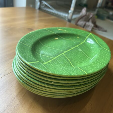 Unbreakable Plastic Plates