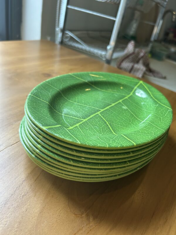 Unbreakable Plastic Plates