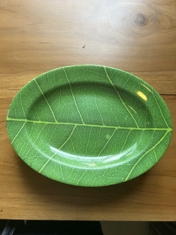 Unbreakable Plastic Plates - Image 2